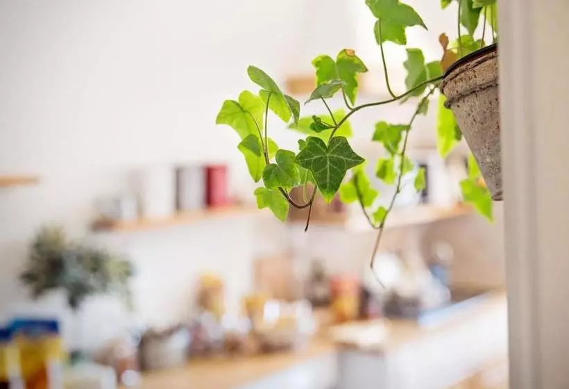 تختخواب و صبحانه Parco Di Nerone