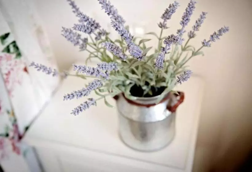 تختخواب و صبحانه Parco Di Nerone