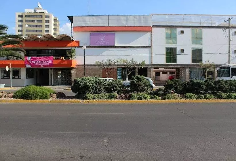 בית מלון כפרי Flamingo Irapuato