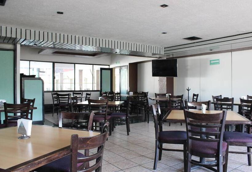 هتل Flamingo Irapuato