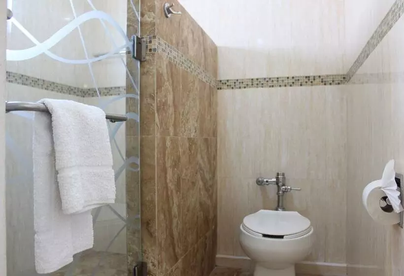 בית מלון כפרי Flamingo Irapuato