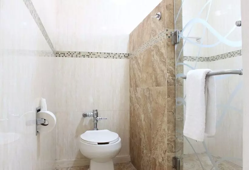 בית מלון כפרי Flamingo Irapuato