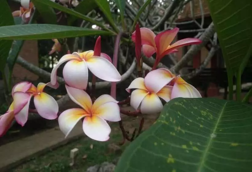 בית מלון כפרי Floraville Phuket Resort