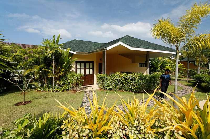 酒店 Palm Garden Resort