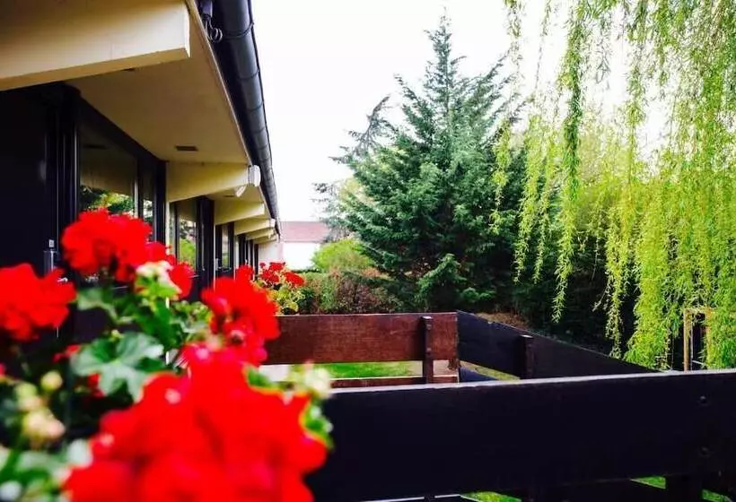 Отель Hôtel Pavillon Des Gâtines