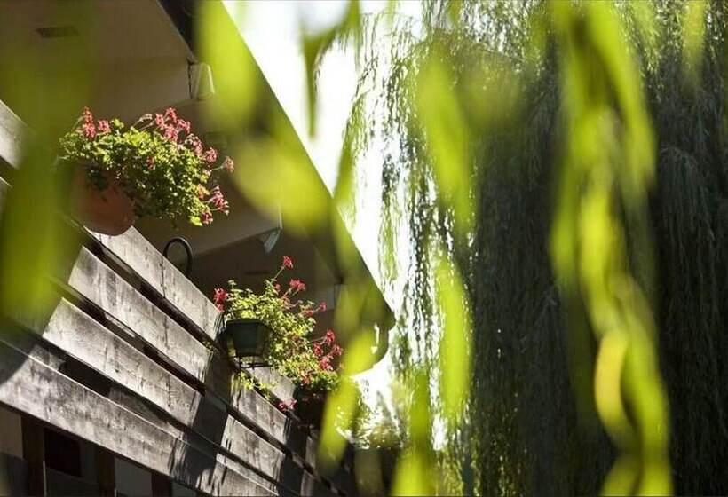 酒店 Hôtel Pavillon Des Gâtines