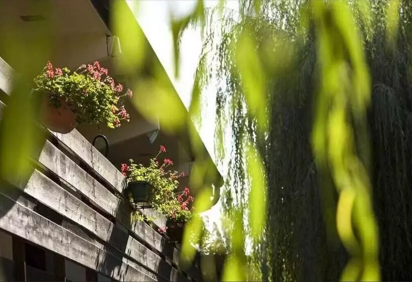 Отель Hôtel Pavillon Des Gâtines