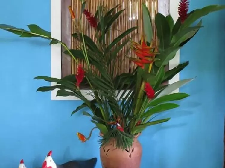 Hotel Pousada Calypso