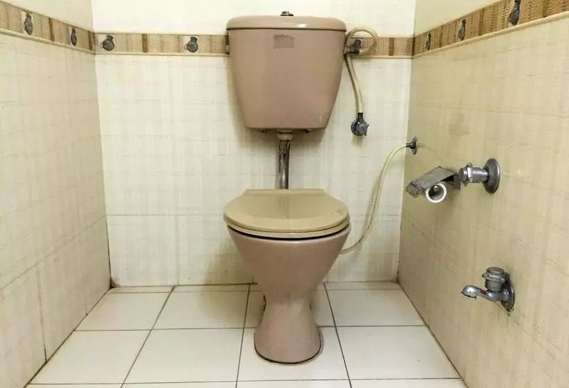 Hotel Veenus International