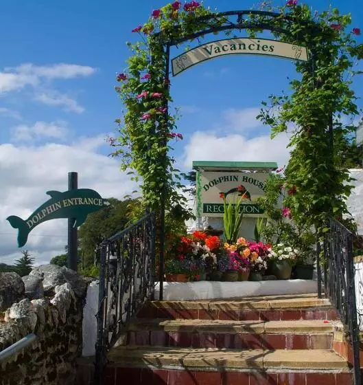ペンション Dolphin Guest House