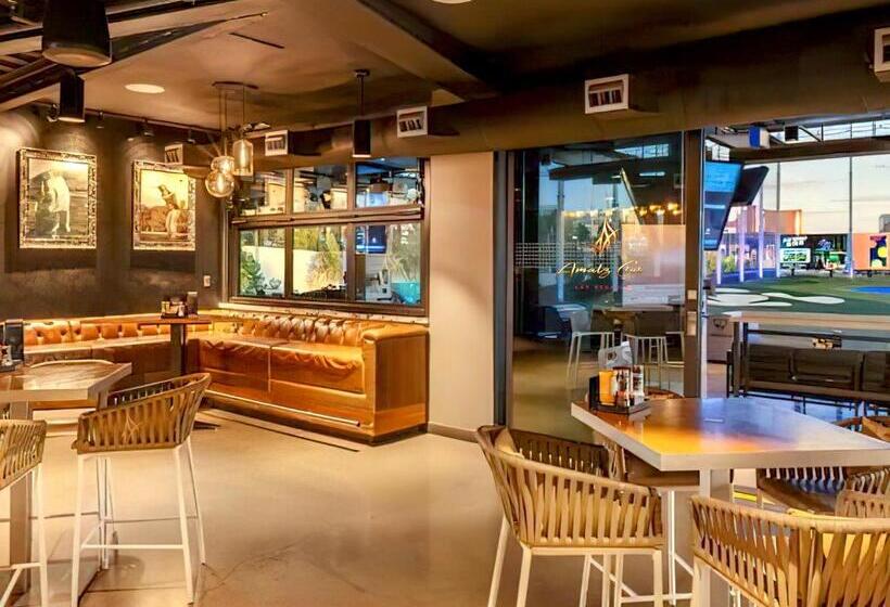 Amalz 2 Bedroom 3 Bathroom Balcony Suites At Mgm Signature !