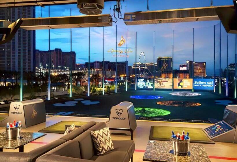 Amalz 2 Bedroom 3 Bathroom Balcony Suites At Mgm Signature !