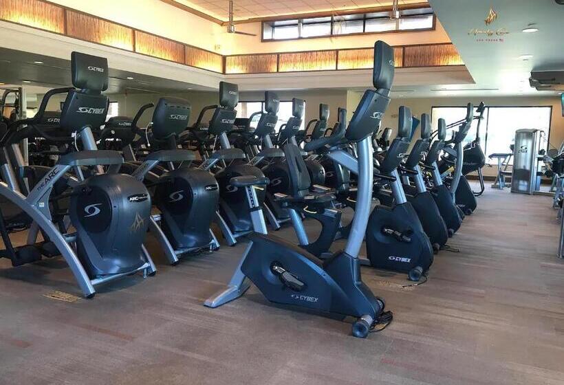 Amalz 2 Bedroom 3 Bathroom Balcony Suites At Mgm Signature !