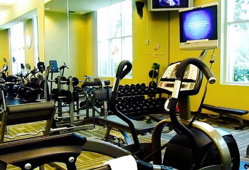 Amalz 2 Bedroom 3 Bathroom Balcony Suites At Mgm Signature !