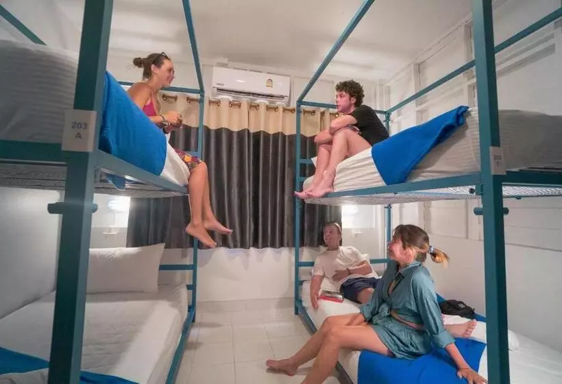 Herberge Bodega Koh Phi Phi