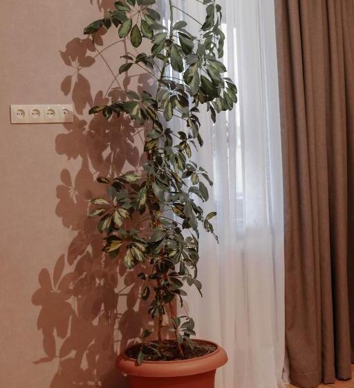 پانسیون Home In Gergeti