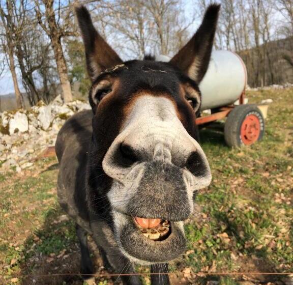 بنسيون Gite A La Ferme