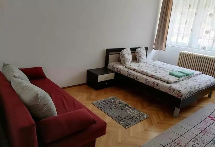 ペンション Casă De Oaspeți Orso