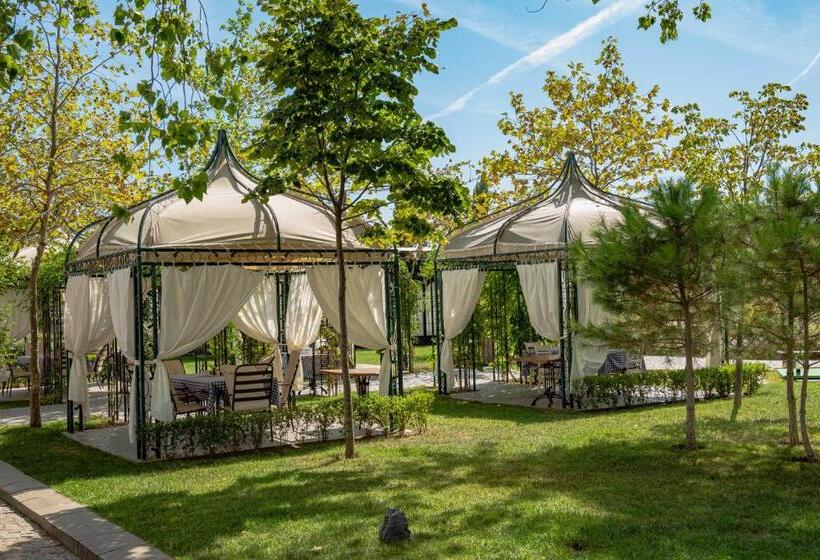 Menada Apartments In Cascadas