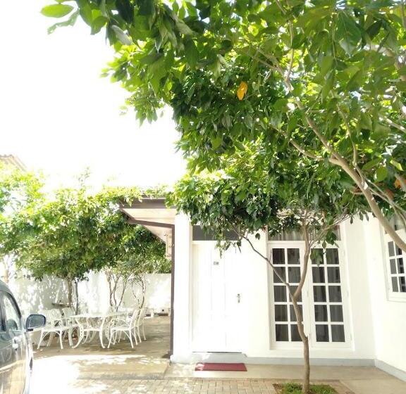 Pensjonat New Royal White Tourist Rest