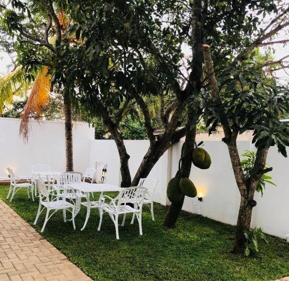 Pensjonat New Royal White Tourist Rest