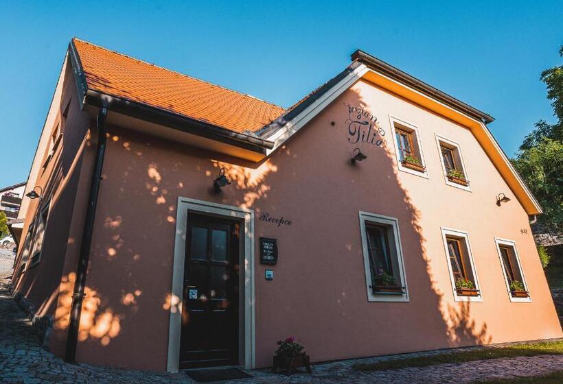 Pensió Penzion Tilia