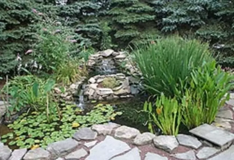 Bed and Breakfast Brownstone Colonial Inn