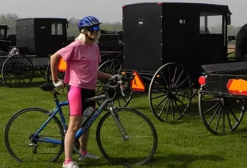 Bed and Breakfast Brownstone Colonial Inn