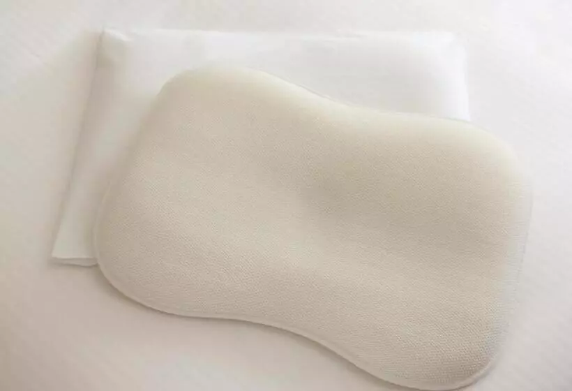 Apa Hotel Biwako Seta Ekimae