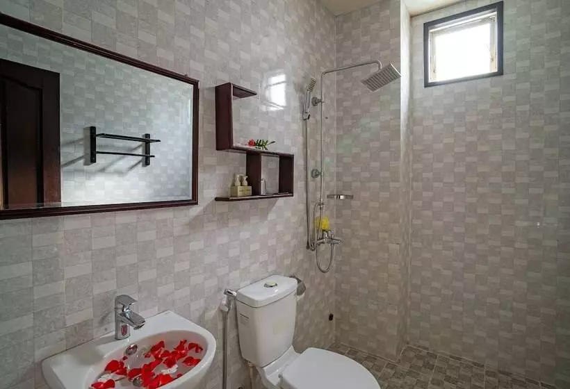 هتل Hoi An Viet House Homestay