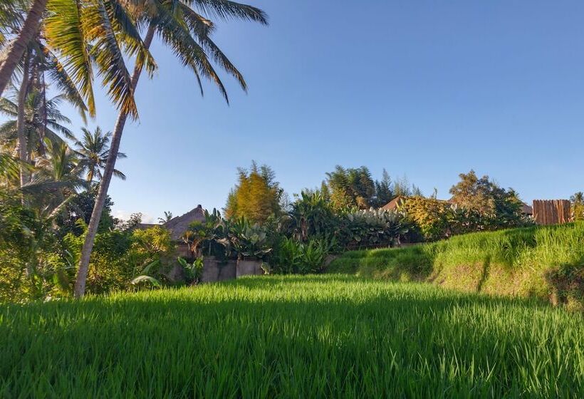 Anusara Luxury Villas   Adults Only