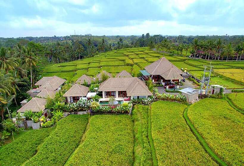 Anusara Luxury Villas   Adults Only