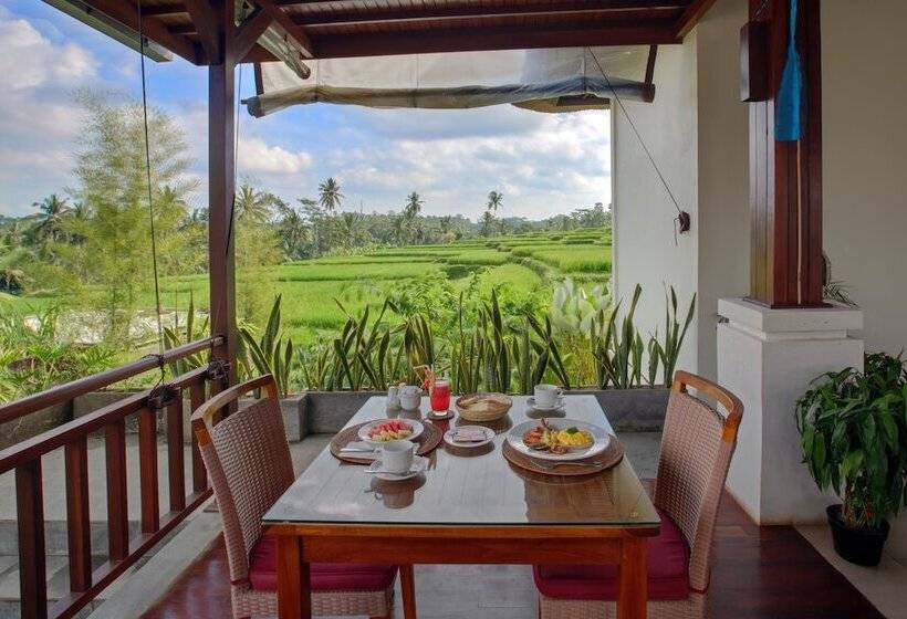 Anusara Luxury Villas   Adults Only