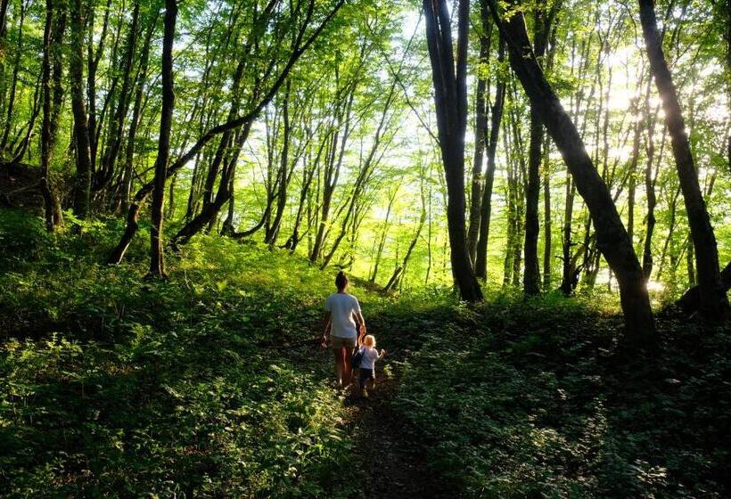 Bed and Breakfast The Babcock House