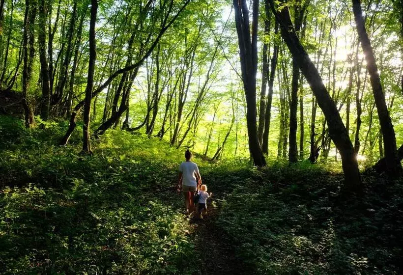 Aamiaismajoitus (B&B) The Babcock House