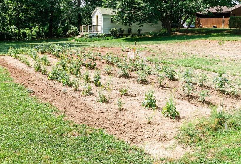 Bed and Breakfast The Babcock House