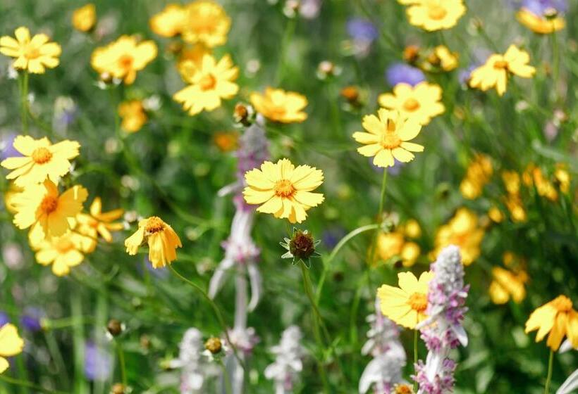 Bed and Breakfast The Babcock House