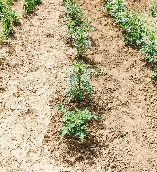 Aamiaismajoitus (B&B) The Babcock House