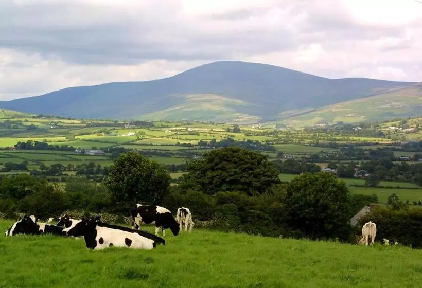 Brandon View House B&b