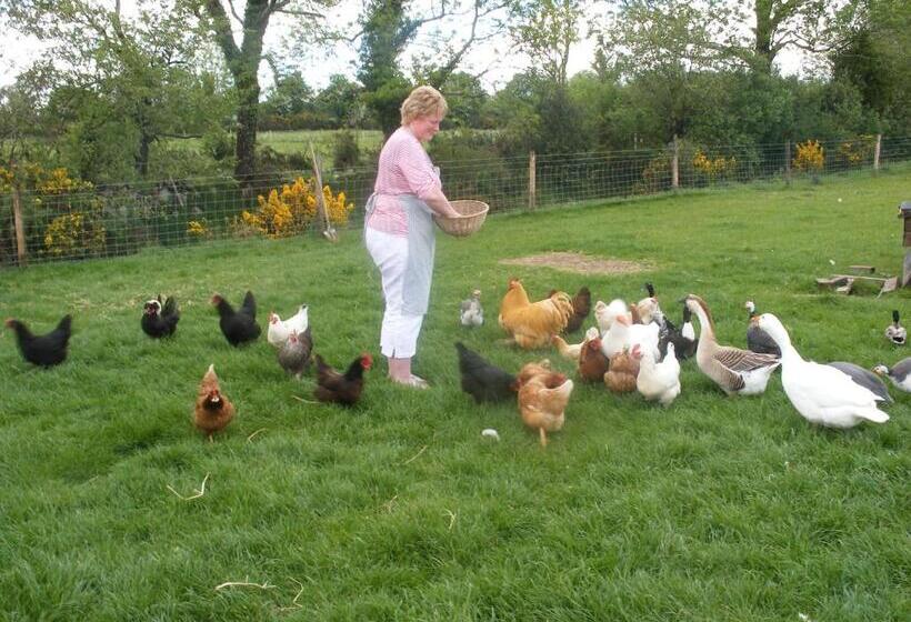 Brandon View House B&b