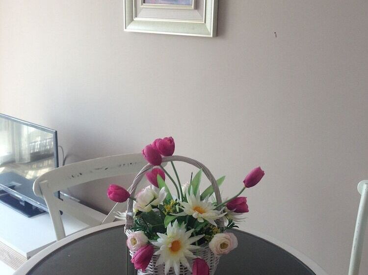 בית מלון כפרי Admiral Plaza Apartments