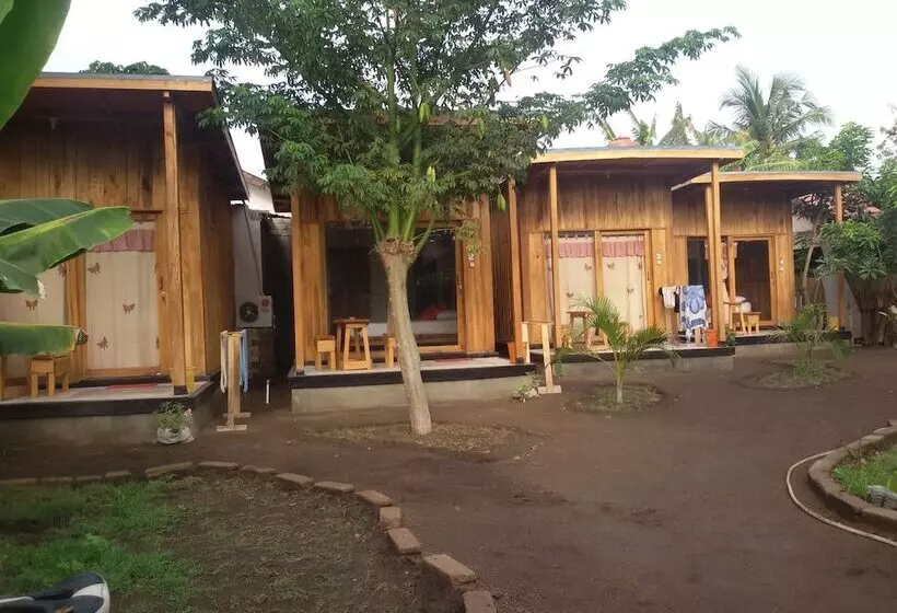 ホテル Beach Box Bungalows