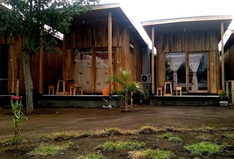 فندق Beach Box Bungalows