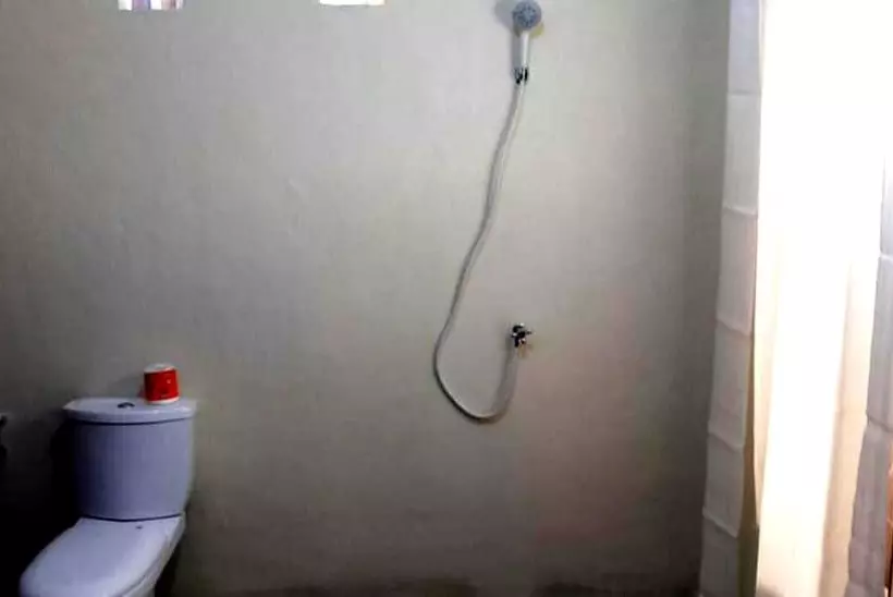 ホテル Beach Box Bungalows