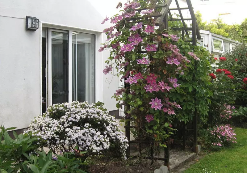 Hotelli Green Hill B&b