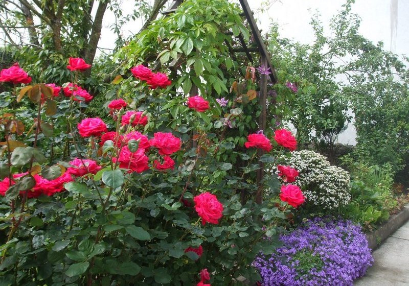 ホテル Green Hill B&b