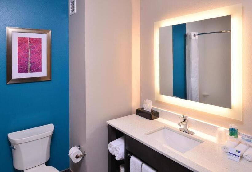 فندق Holiday Inn Express And Suites Bryant   Benton Area, An Ihg