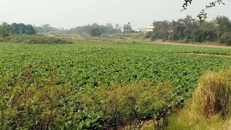 هتل Rueang Sri Si Ri