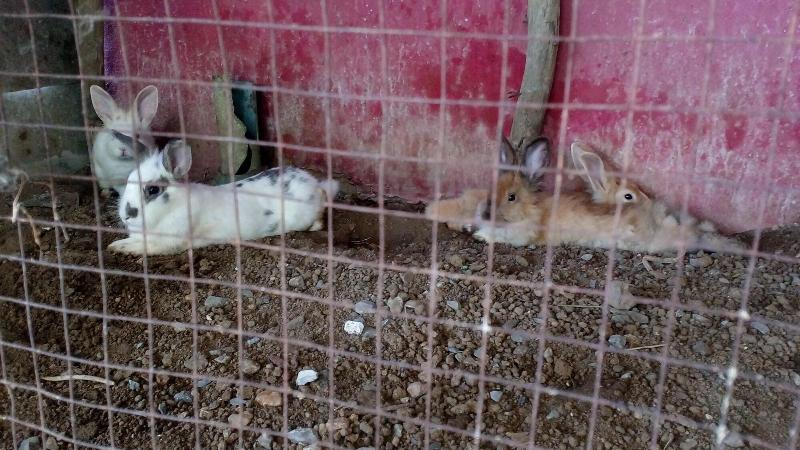 酒店 Rueang Sri Si Ri