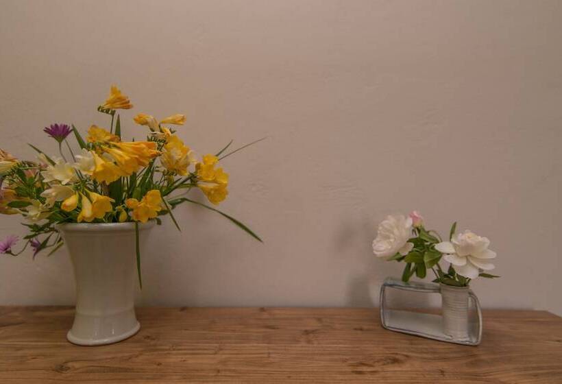 Lemonia Accommodations